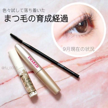 UR GLAM　EYESHADOW BRUSH C（アイシャドウブラシC）/U R GLAM/メイクブラシを使ったクチコミ（1枚目）