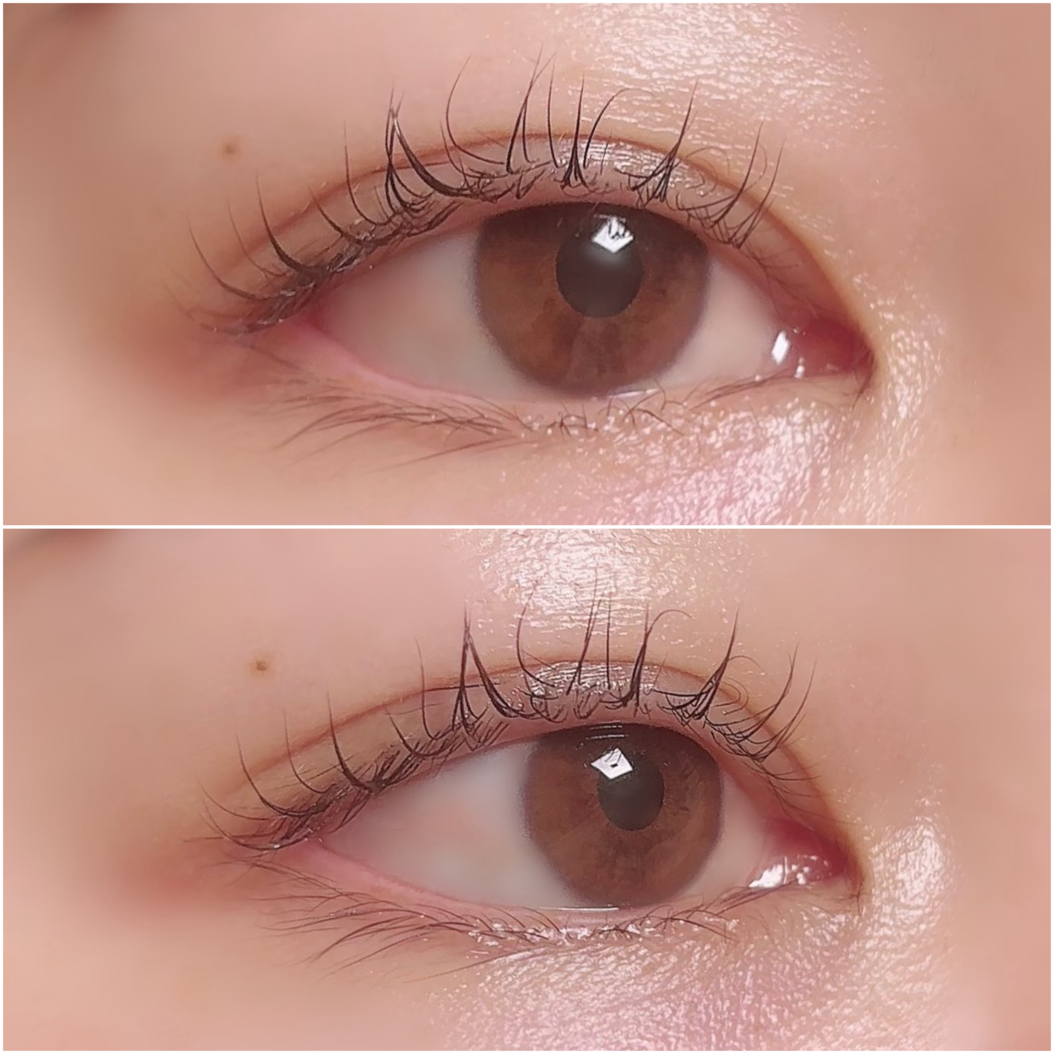 スカルプD アイラッシュセラム プレミアム/アンファー(スカルプD)/まつげ美容液を使ったクチコミ（3枚目）