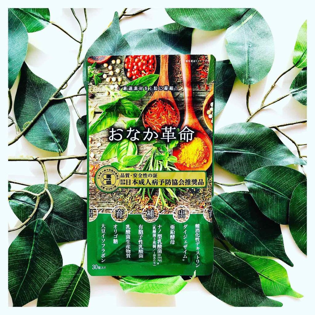 おなか革命/極選市場/健康サプリメントを使ったクチコミ(1枚目)