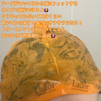 ACV VINEGAR HAIR CAP /La'dor/アウトバストリートメントを使ったクチコミ(6枚目)