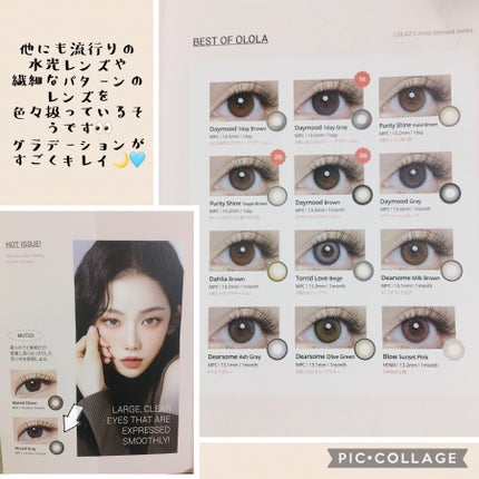 ミューテッド 01 グレー/OLOLA/カラーコンタクトレンズの画像
