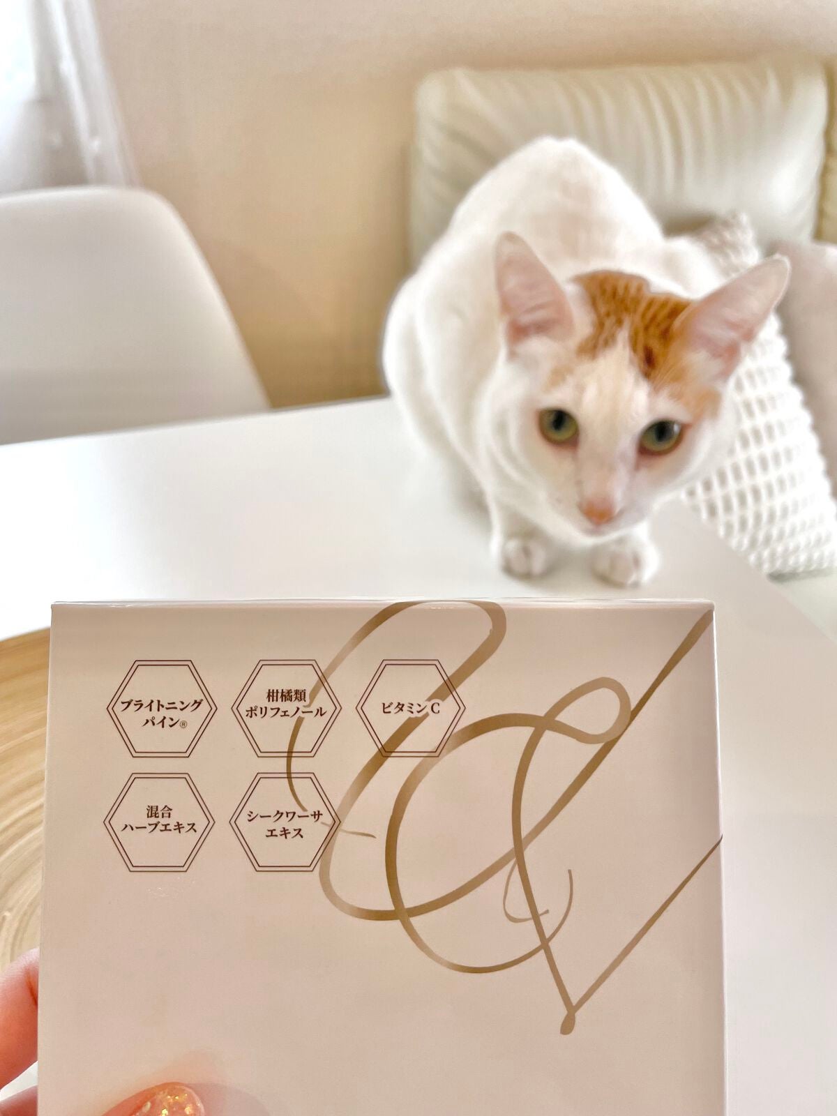 プレミアムサンカットDR/swiss/美容サプリメントを使ったクチコミ(5枚目)