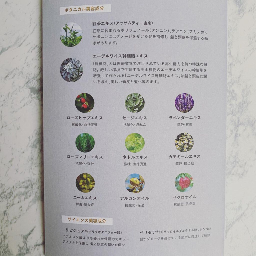 coral_rouge_9k0j on LIPS 「紅茶のシャンプー&トリートメントRENEWリニューアッサムティ..」(3枚目)