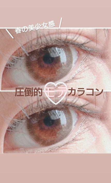 FLANMY 1day/FLANMY/ワンデー(1DAY)カラコンを使ったクチコミ(1枚目)