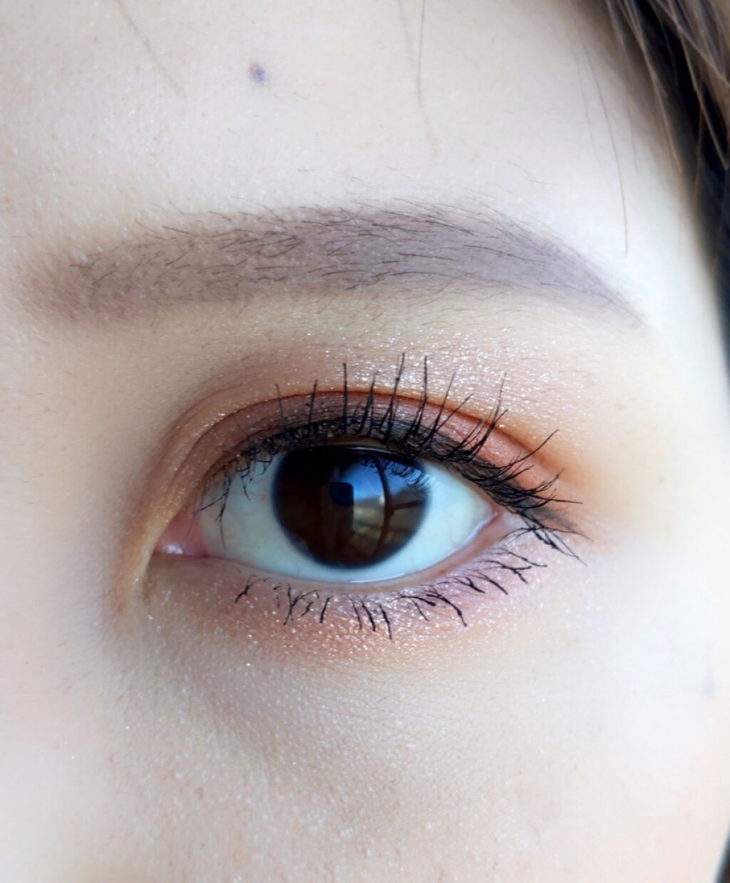 フェイス ＆ アイカラー CS/PAUL & JOE BEAUTE/アイシャドウパレットを使ったクチコミ（3枚目）