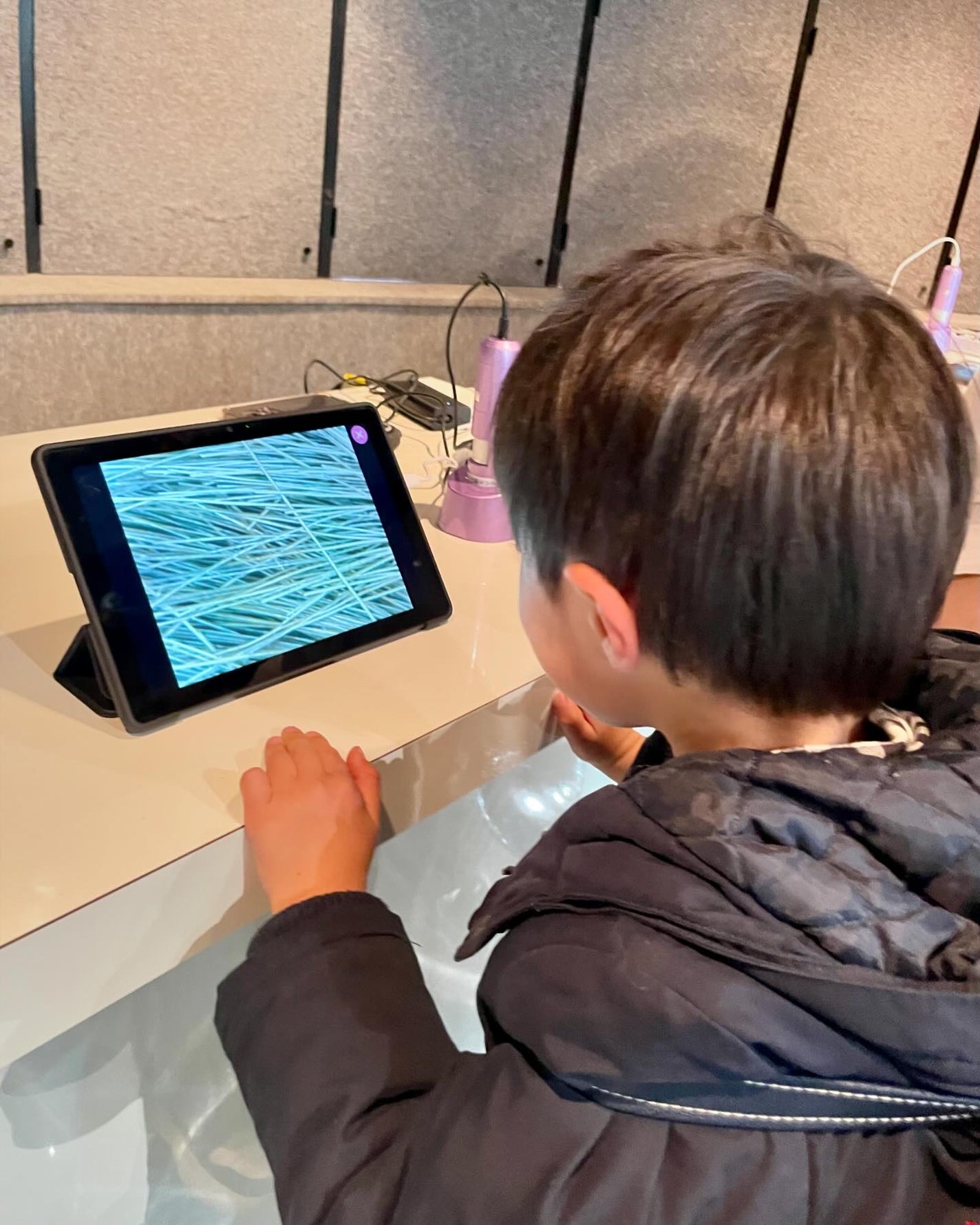 モイストソフナー 01ベーシックスカルプ/Sorule/市販シャンプーを使ったクチコミ(1枚目)