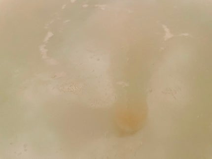 バスボール/SABON/炭酸系入浴剤を使ったクチコミ(3枚目)