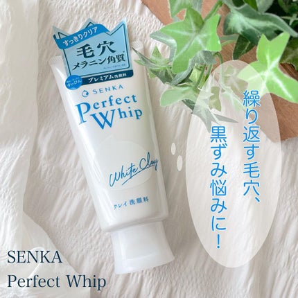パーフェクトホワイトクレイ/SENKA(専科)/洗顔フォームを使ったクチコミ(1枚目)