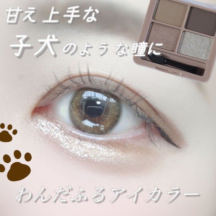わんだふるアイカラー 01 しばブラウン(ベージュ系)/KIREI FACTORY/アイシャドウパレットを使ったクチコミ(1枚目)