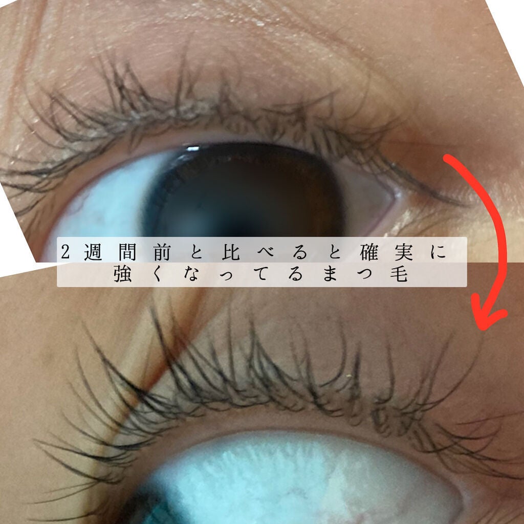 ハンオールラッシュセラム/rom&nd/まつげ美容液を使ったクチコミ(2枚目)