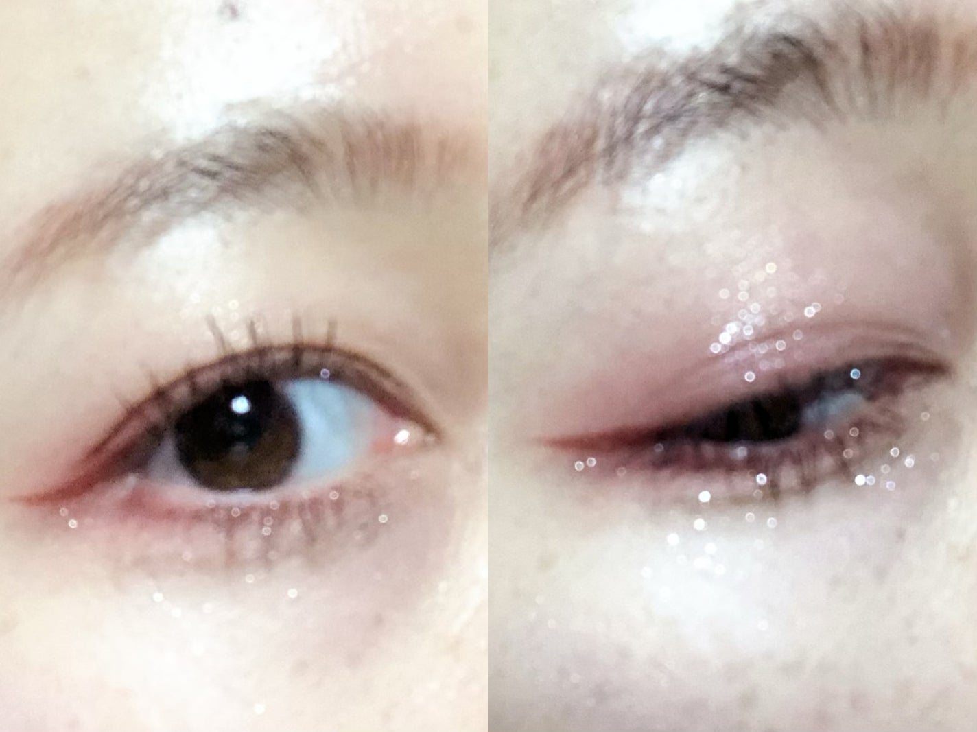 エクスプローラ12色 動物アイシャドウパレット/PERFECT DIARY/アイシャドウパレットを使ったクチコミ(4枚目)