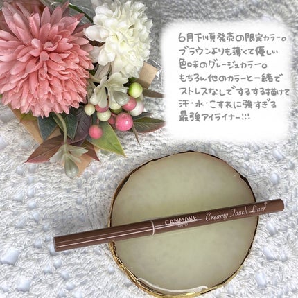 クリーミータッチライナー/キャンメイク/ジェルアイライナーを使ったクチコミ(2枚目)