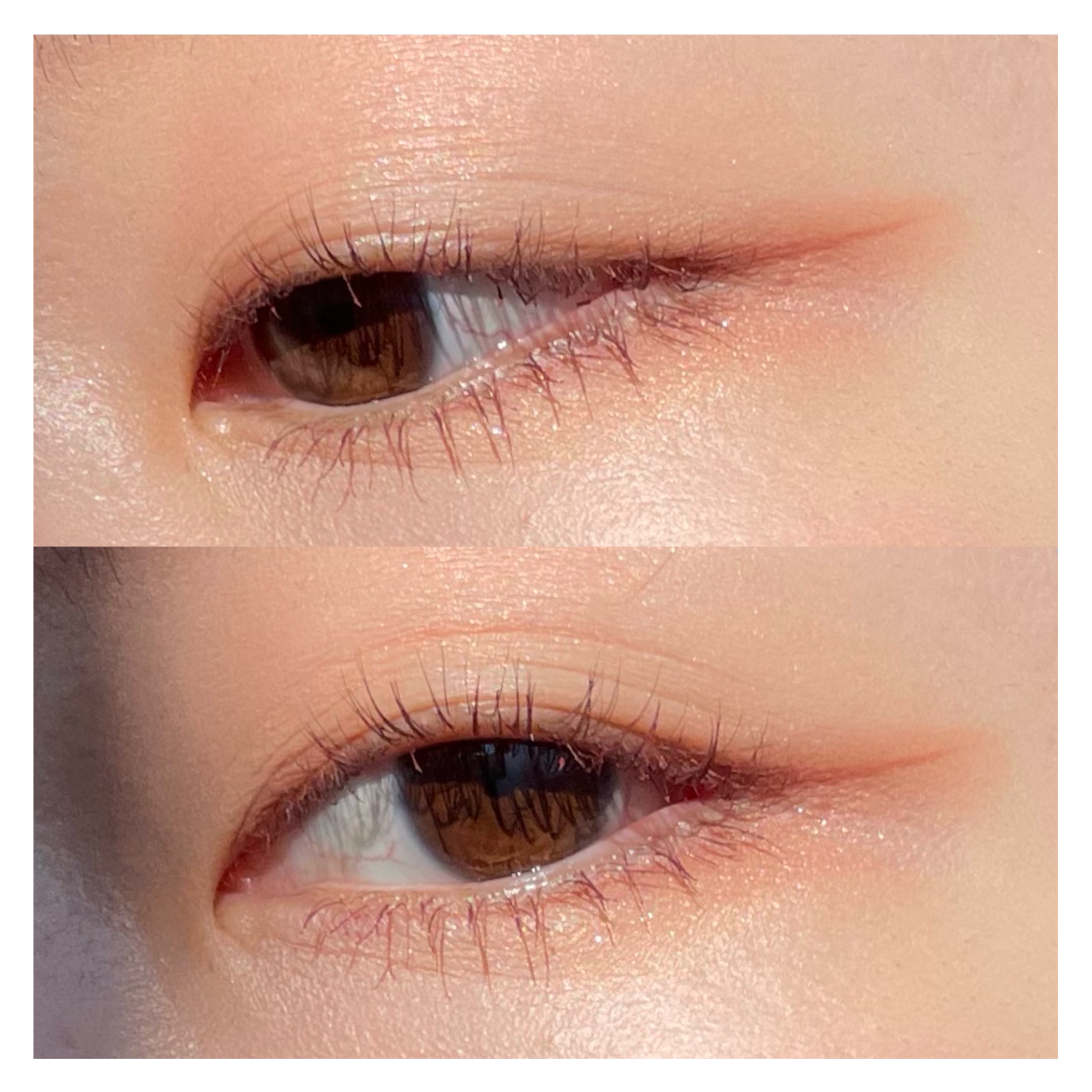 シャドーカスタマイズ/MAJOLICA MAJORCA/単色アイシャドウを使ったクチコミ（3枚目）