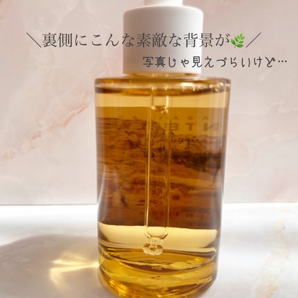 センテラ アンプル/SKIN1004/美容液を使ったクチコミ(2枚目)