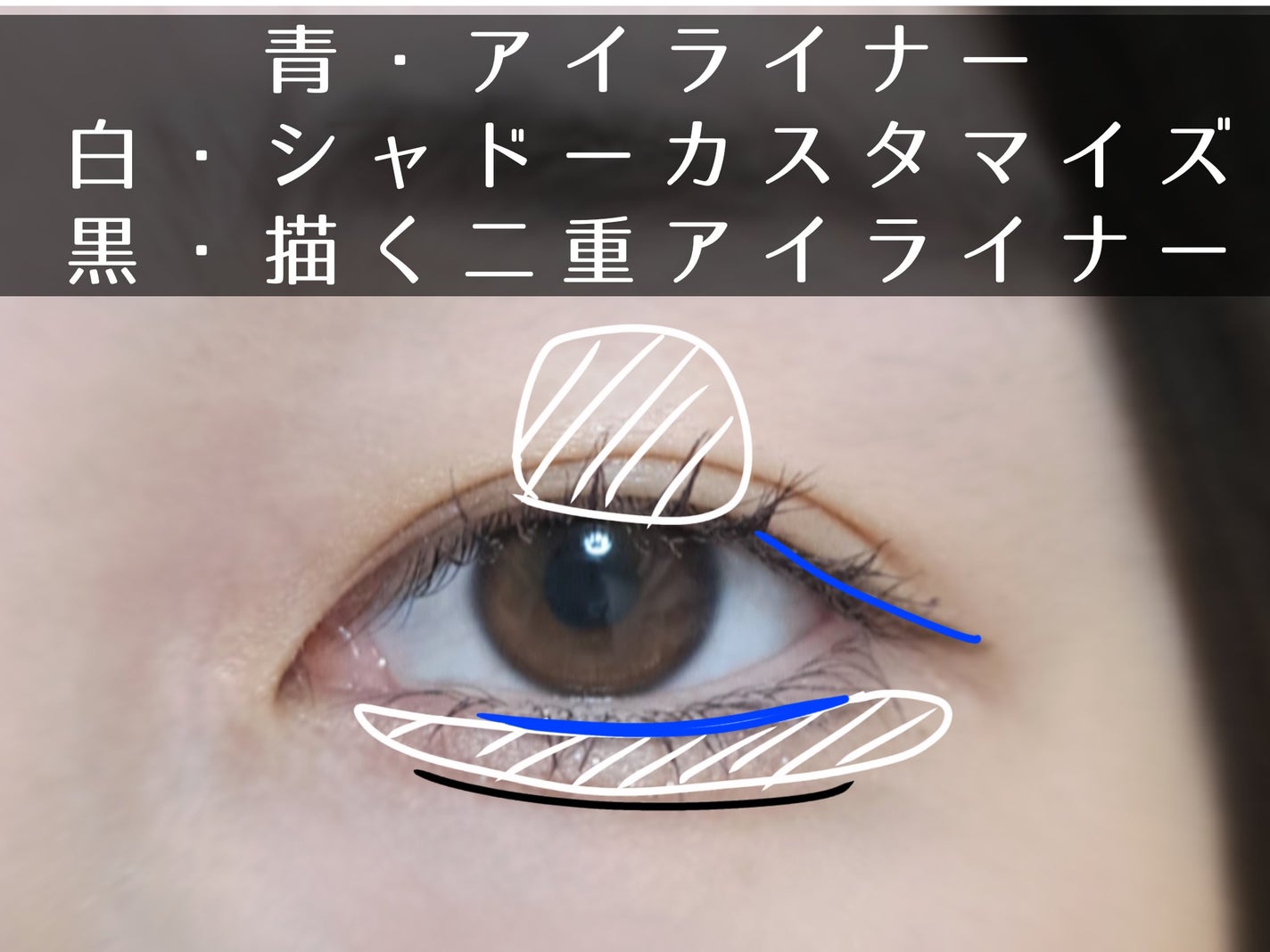 クイックラッシュカーラー/キャンメイク/マスカラ下地を使ったクチコミ(2枚目)