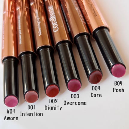 ããªã¥ãŒãã€ãžã³ã°ãã©ã³ãã¥ãªãã/Coralhaze/å£çŽ
ã䜿ã£ãã¯ãã³ãïŒ4æç®ïŒ