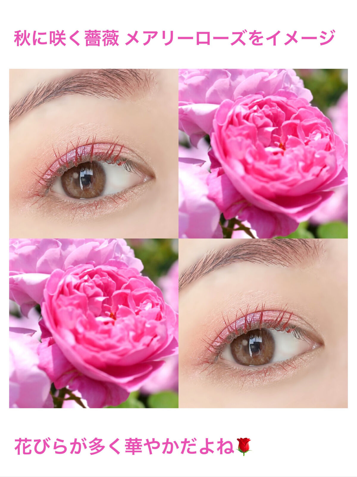 シングルカラーアイシャドウ/CEZANNE/単色アイシャドウを使ったクチコミ（2枚目）