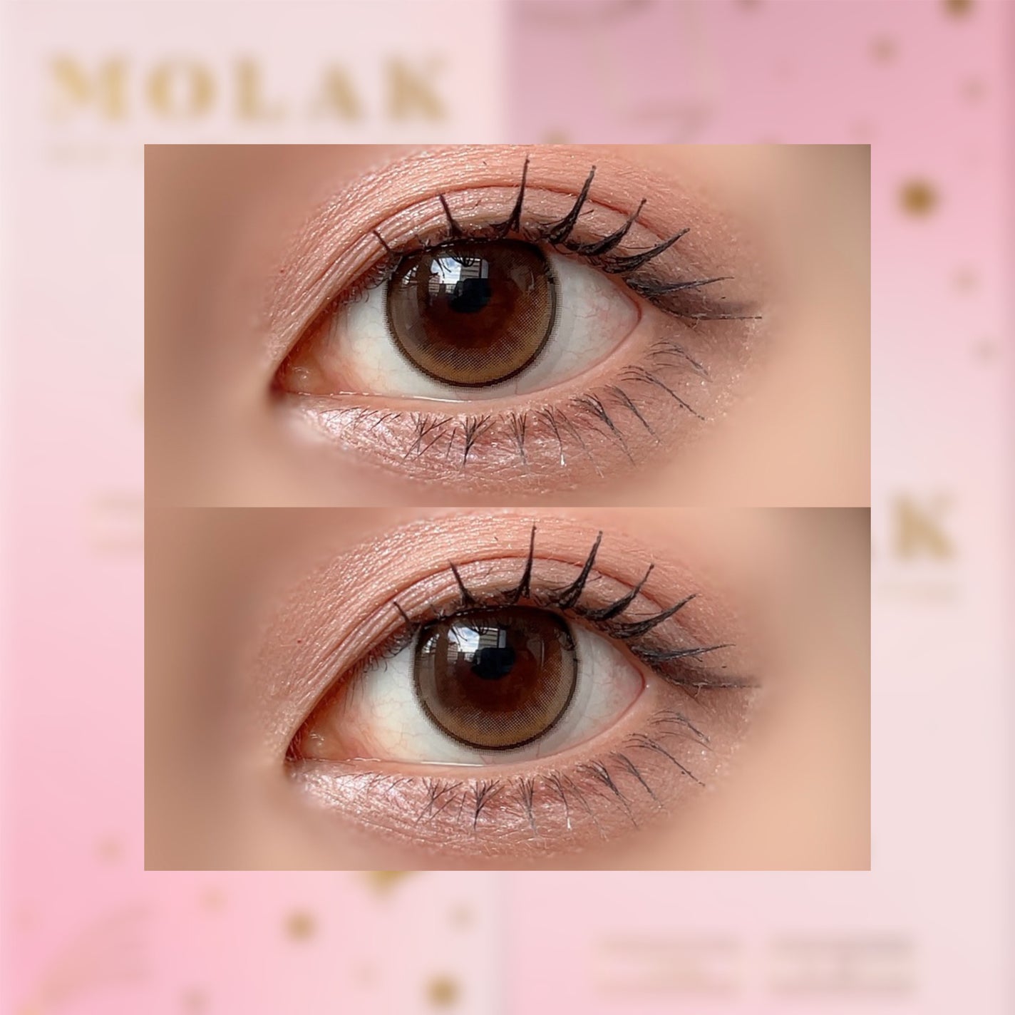 MOLAK 1day/MOLAK/ワンデー(1DAY)カラコンを使ったクチコミ(2枚目)