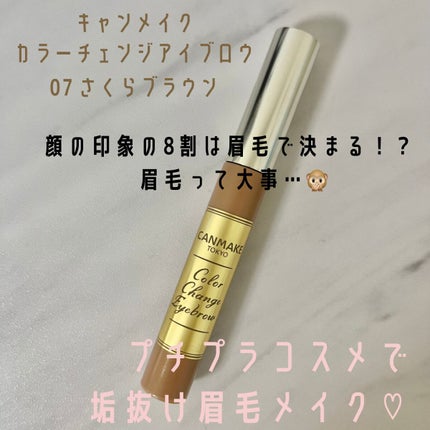 カラーチェンジアイブロウ/キャンメイク/眉マスカラを使ったクチコミ(1枚目)