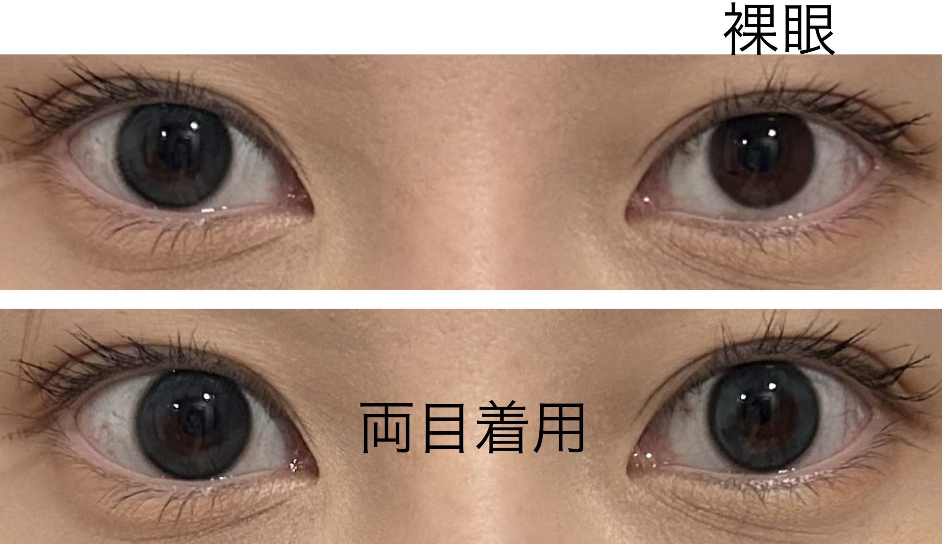 MOLAK 1day バブルブルー/MOLAK/ワンデー（１DAY）カラコンを使ったクチコミ（3枚目）