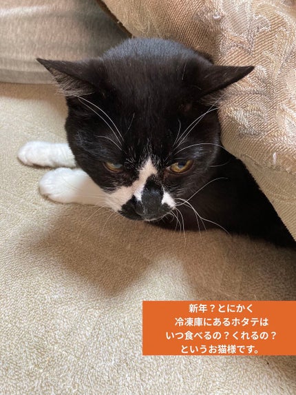 ほむほむ on LIPS 「新年ご挨拶&雑談あけましておめでとうございます☺️🎍なんだかん..」(3枚目)