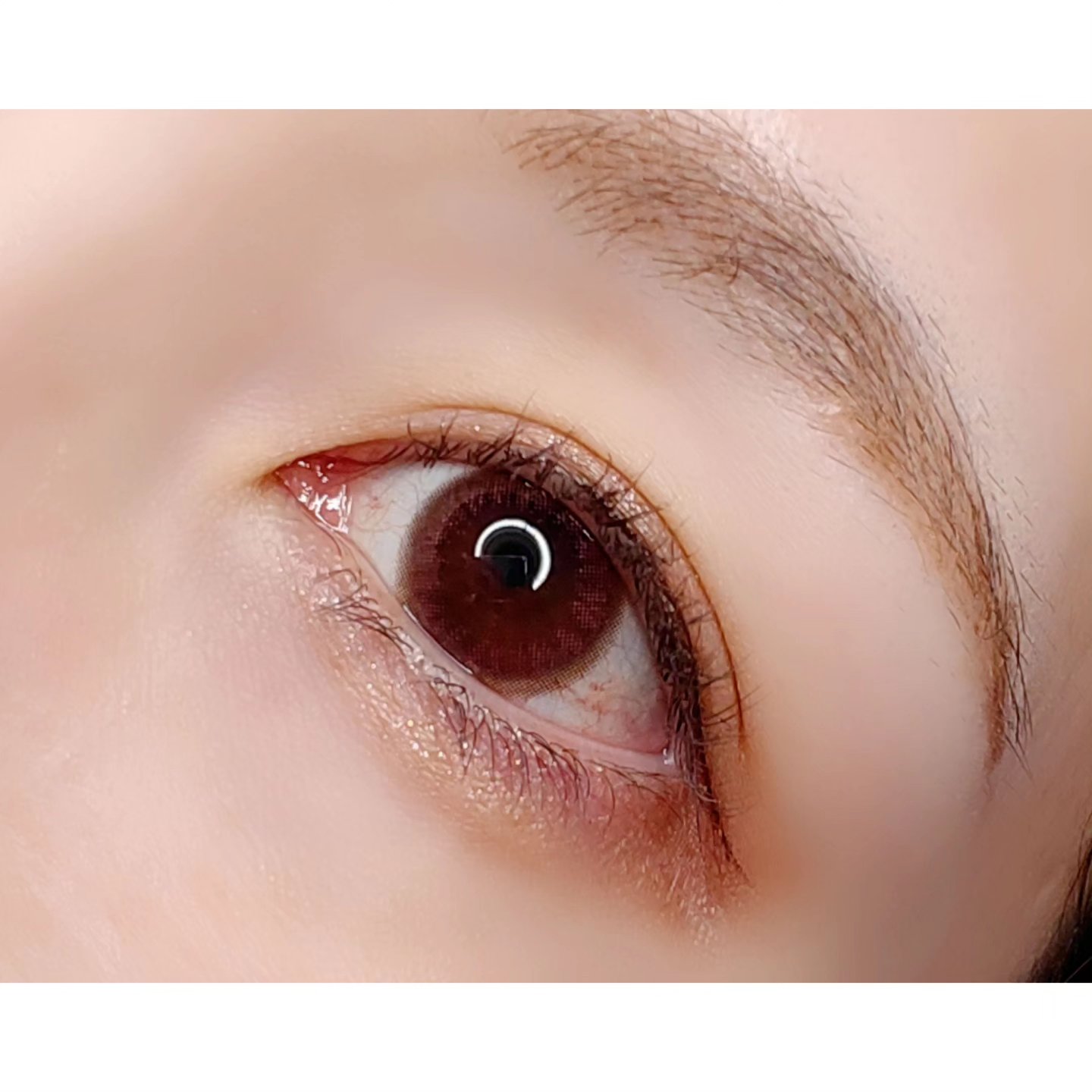 LuMia comfort 1day CIRCLE/LuMia/ワンデー（１DAY）カラコンを使ったクチコミ（3枚目）