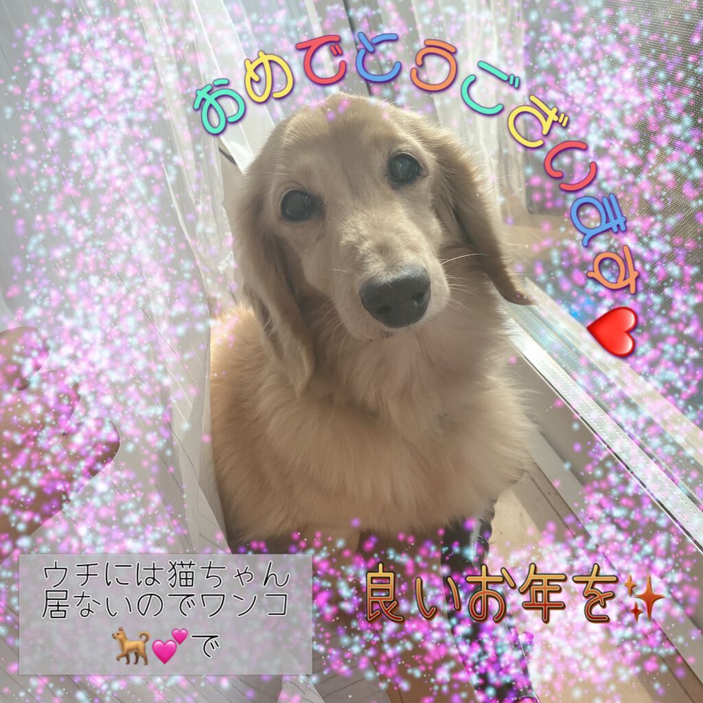 スキニーリッチシャドウ/excel/アイシャドウパレットを使ったクチコミ(5枚目)