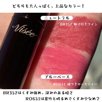 ネンマクフェイク ルージュ/Visée/口紅を使ったクチコミ(4枚目)