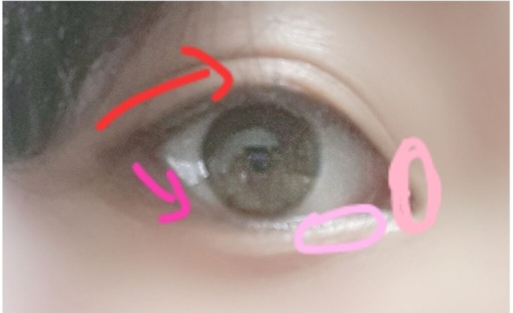 スキニーリッチシャドウ/excel/アイシャドウパレットを使ったクチコミ(4枚目)