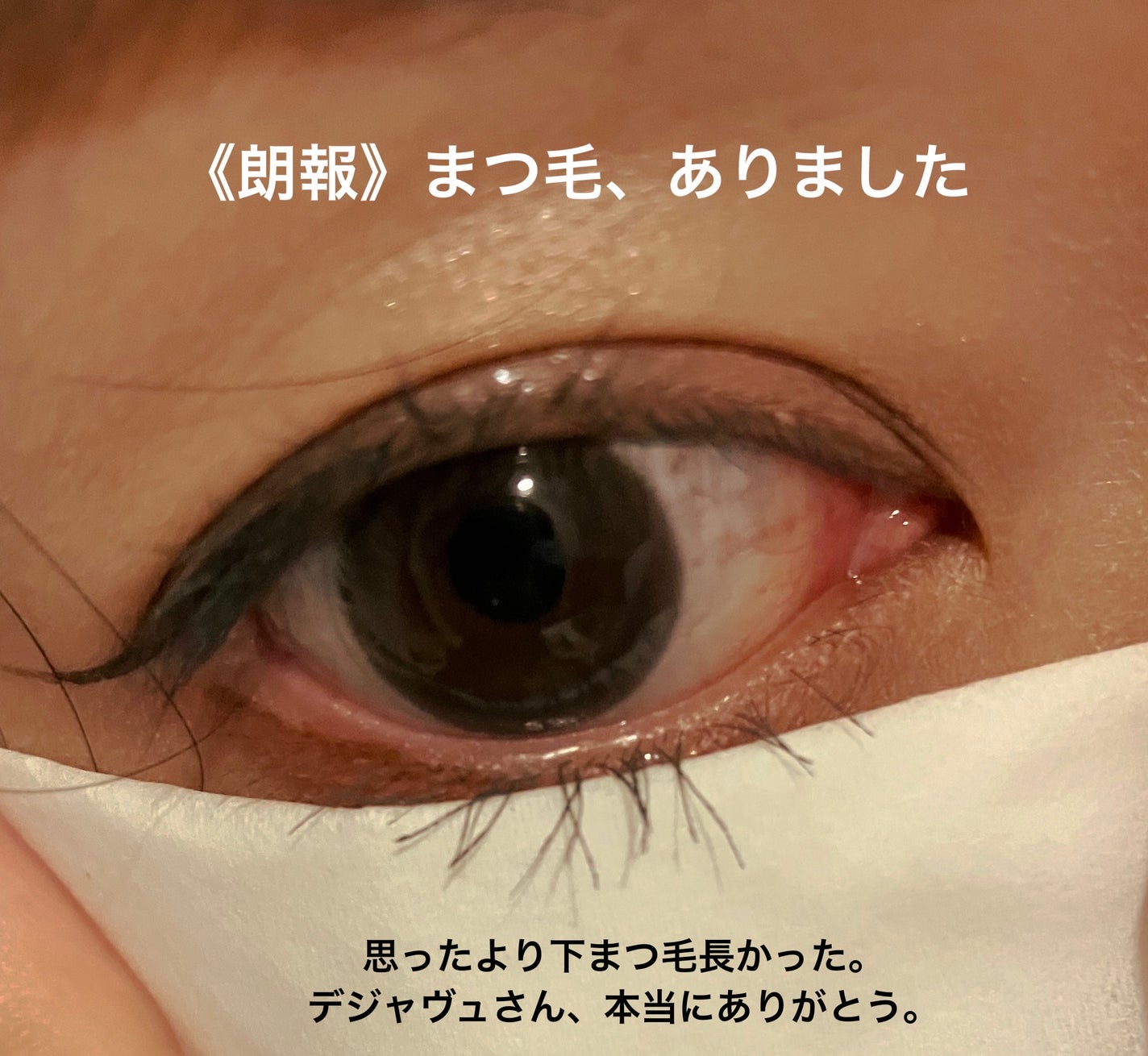 「塗るつけまつげ」自まつげ際立てタイプ/デジャヴュ/マスカラを使ったクチコミ(3枚目)