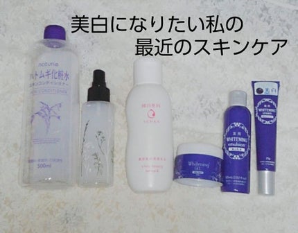 ハトムギ化粧水(ナチュリエ スキンコンディショナー R )/ナチュリエ/化粧水を使ったクチコミ(1枚目)