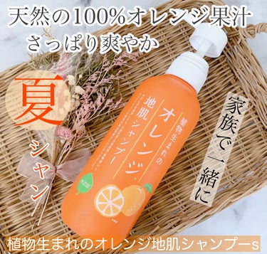 植物生まれのオレンジ地肌シャンプーS／オレンジ果汁トリートメントN つめかえ用（340ｍL）/石澤研究所/シャンプー・コンディショナーを使ったクチコミ（1枚目）