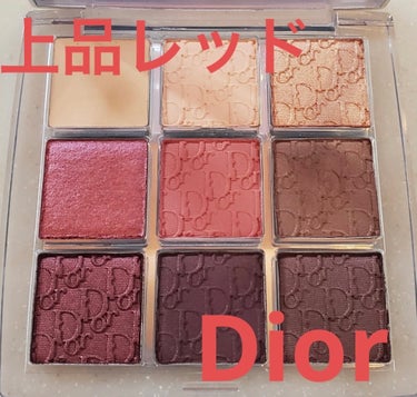 ディオール バックステージ アイ パレット 004 ローズウッド/Dior/パウダーアイシャドウの画像