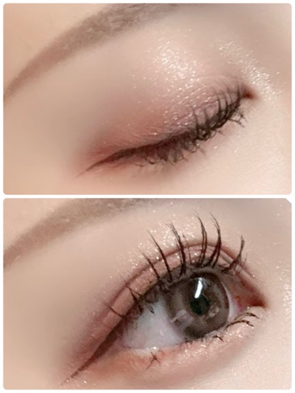 エクスプローラ12色 動物アイシャドウパレット/PERFECT DIARY/アイシャドウパレットを使ったクチコミ(6枚目)