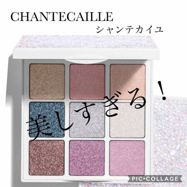 Polar Ice Eye Palette/シャンテカイユ/パウダーアイシャドウを使ったクチコミ（1枚目）