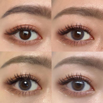 TOPARDS 1day/TOPARDS/ワンデー(1DAY)カラコンを使ったクチコミ(4枚目)