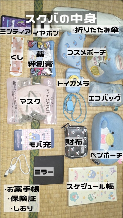 うさこ on LIPS 「タキシードサム推しSJKの修学旅行持ち物紹介📝【おすすめ商品】..」(4枚目)