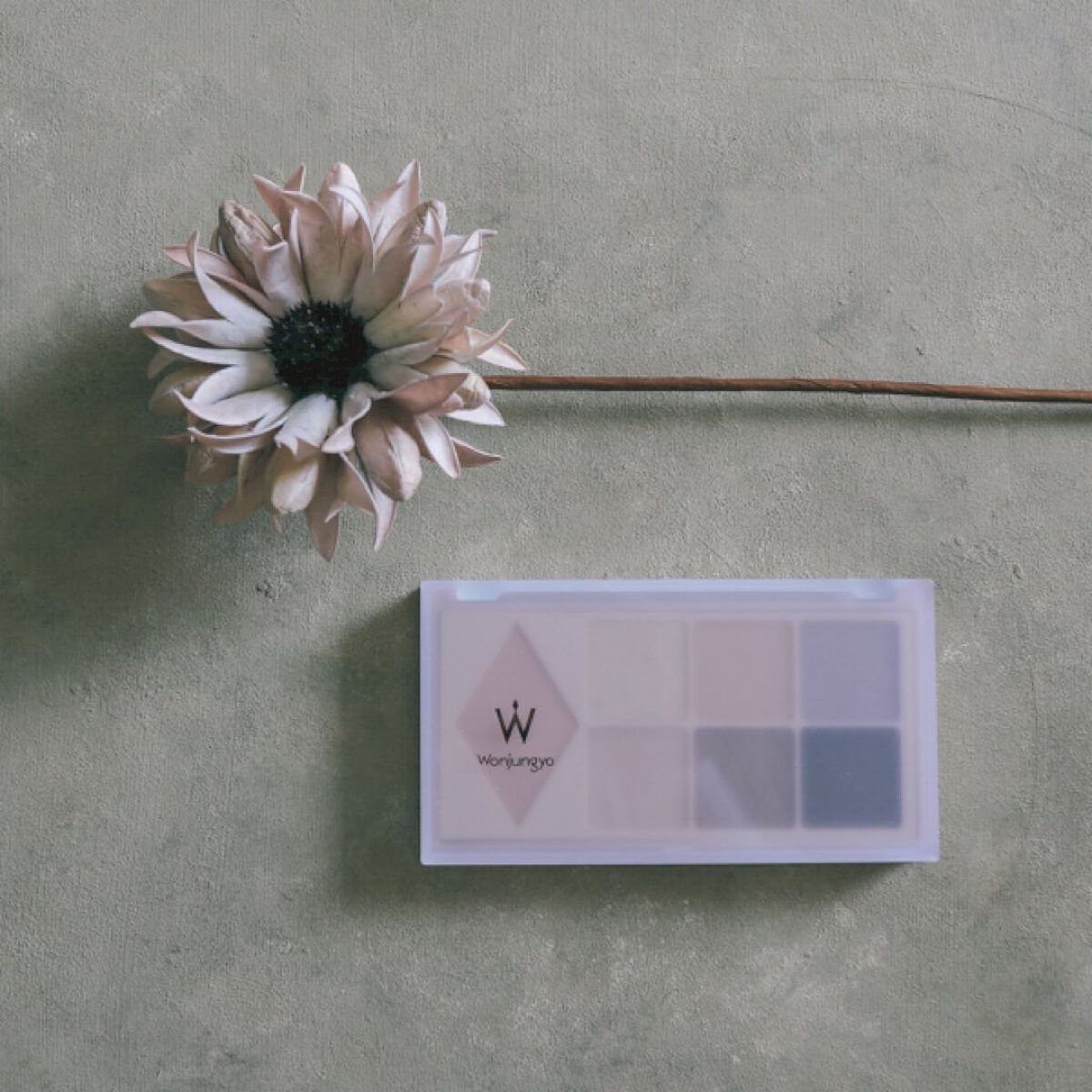 ウォンジョンヨ W デイリームードアップパレット /Wonjungyo/アイシャドウパレットを使ったクチコミ(2枚目)