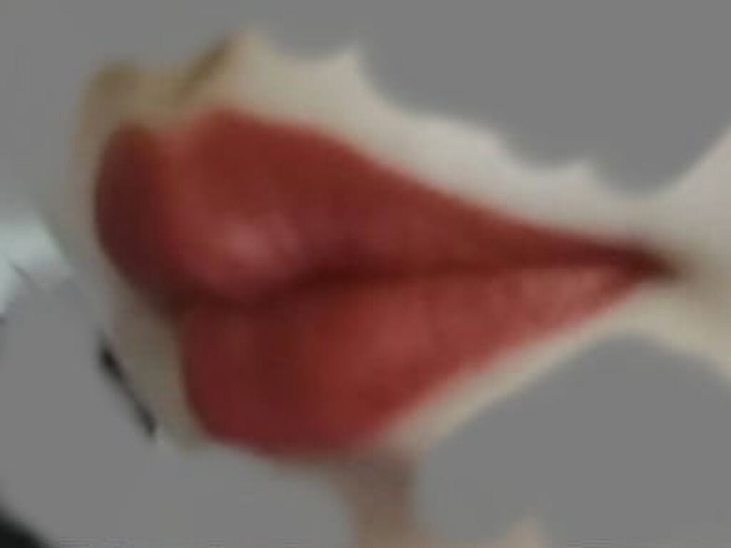 スーパーマットリップ&チークマッド/INTO U/口紅を使ったクチコミ(2枚目)