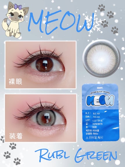 Meow Vivid Edition/OLOLA/1ヶ月(1MONTH)カラコンを使ったクチコミ(2枚目)
