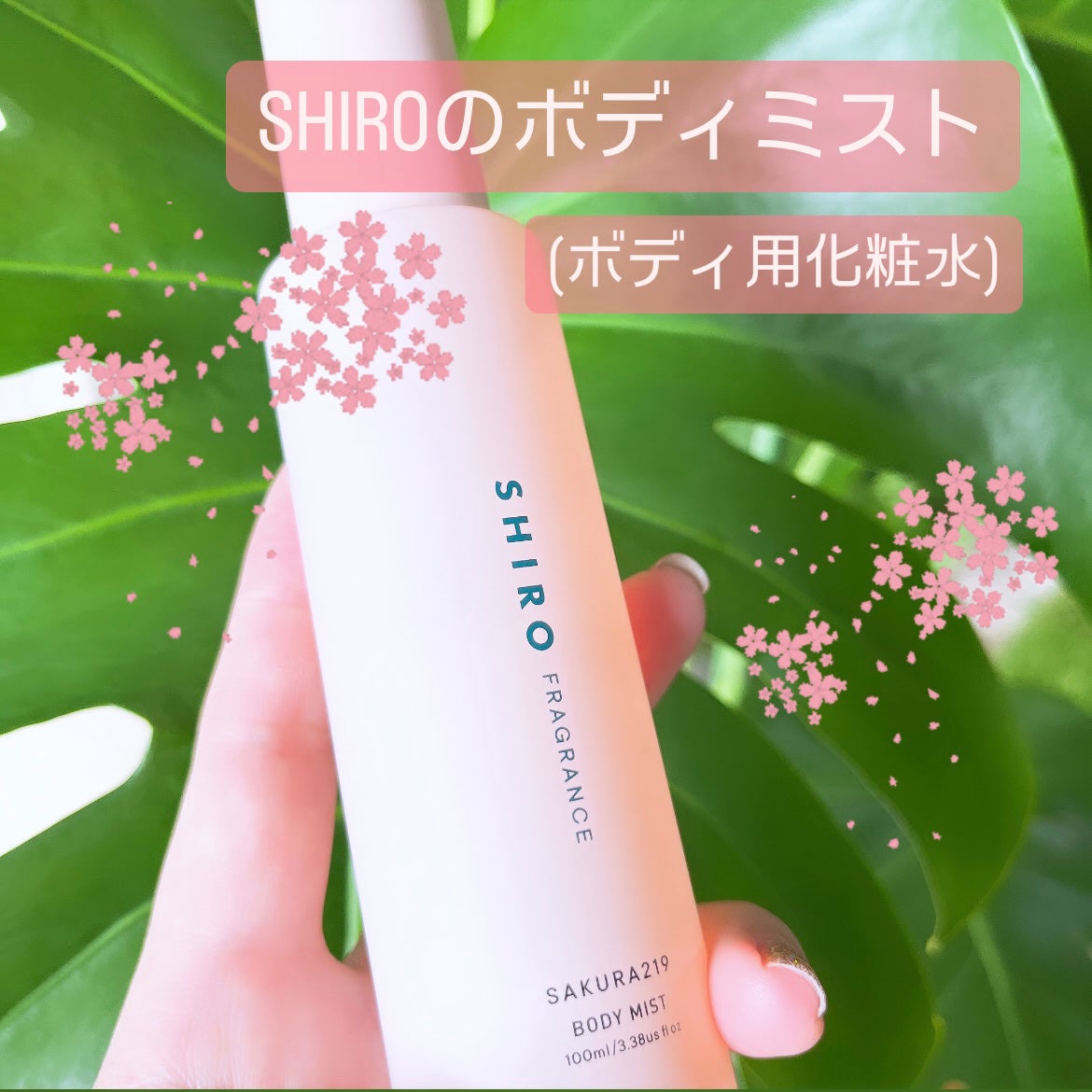 さくら219 ボディミスト/SHIRO/香水を使ったクチコミ(2枚目)