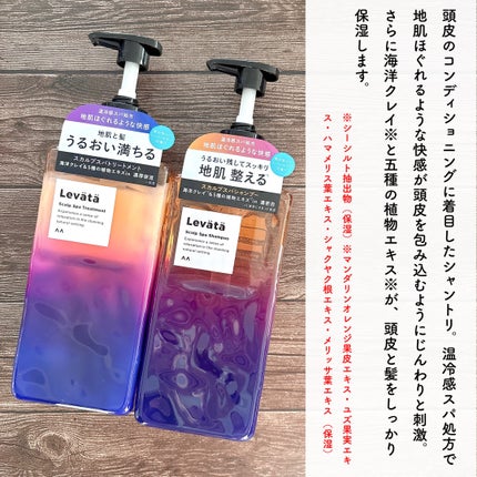 レバタ スカルプスパ シャンプー/トリートメント/Levätä/市販シャンプーを使ったクチコミ(2枚目)