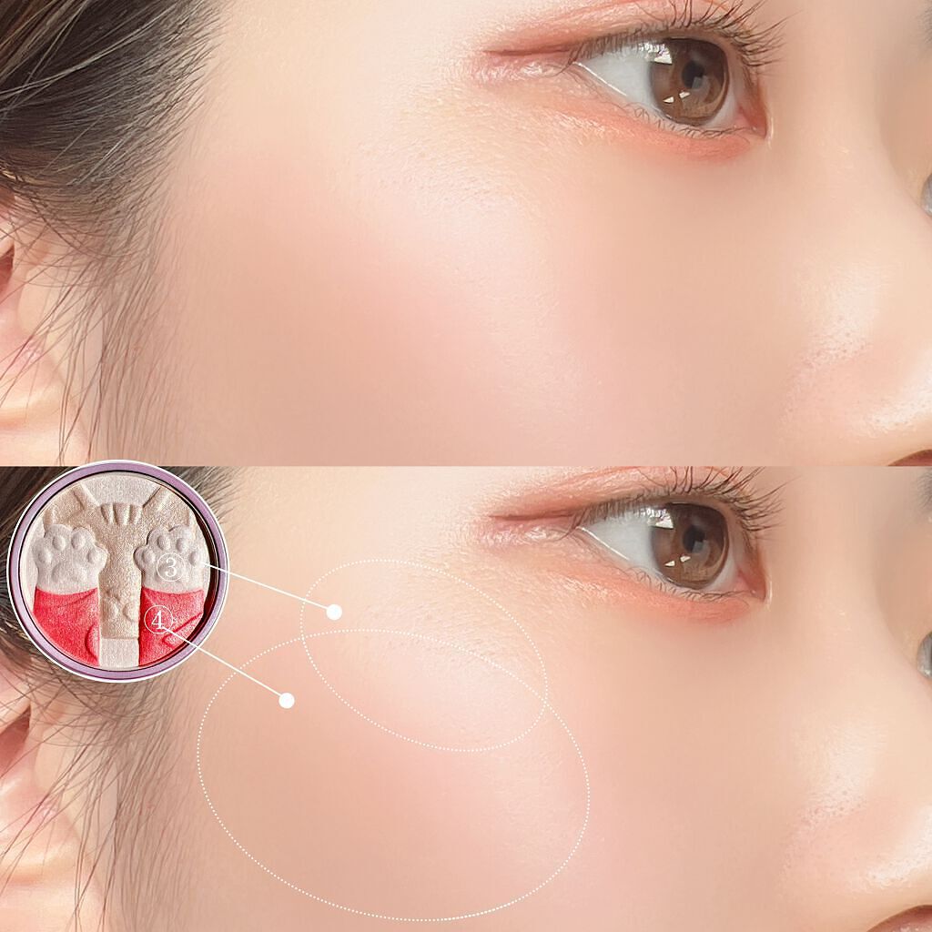 キャットハイライティングブラッシュ/ZEESEA/パウダーハイライトを使ったクチコミ(8枚目)