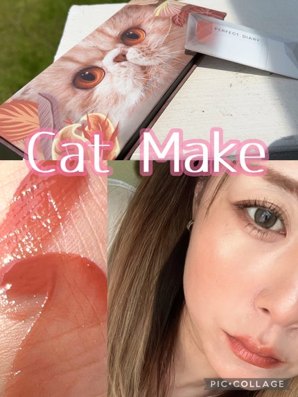 エクスプローラ12色 動物アイシャドウパレット/PERFECT DIARY/アイシャドウパレットを使ったクチコミ(1枚目)