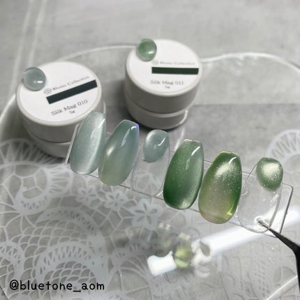Silk Mag/ネイルスタイル/ジェルネイルを使ったクチコミ(6枚目)