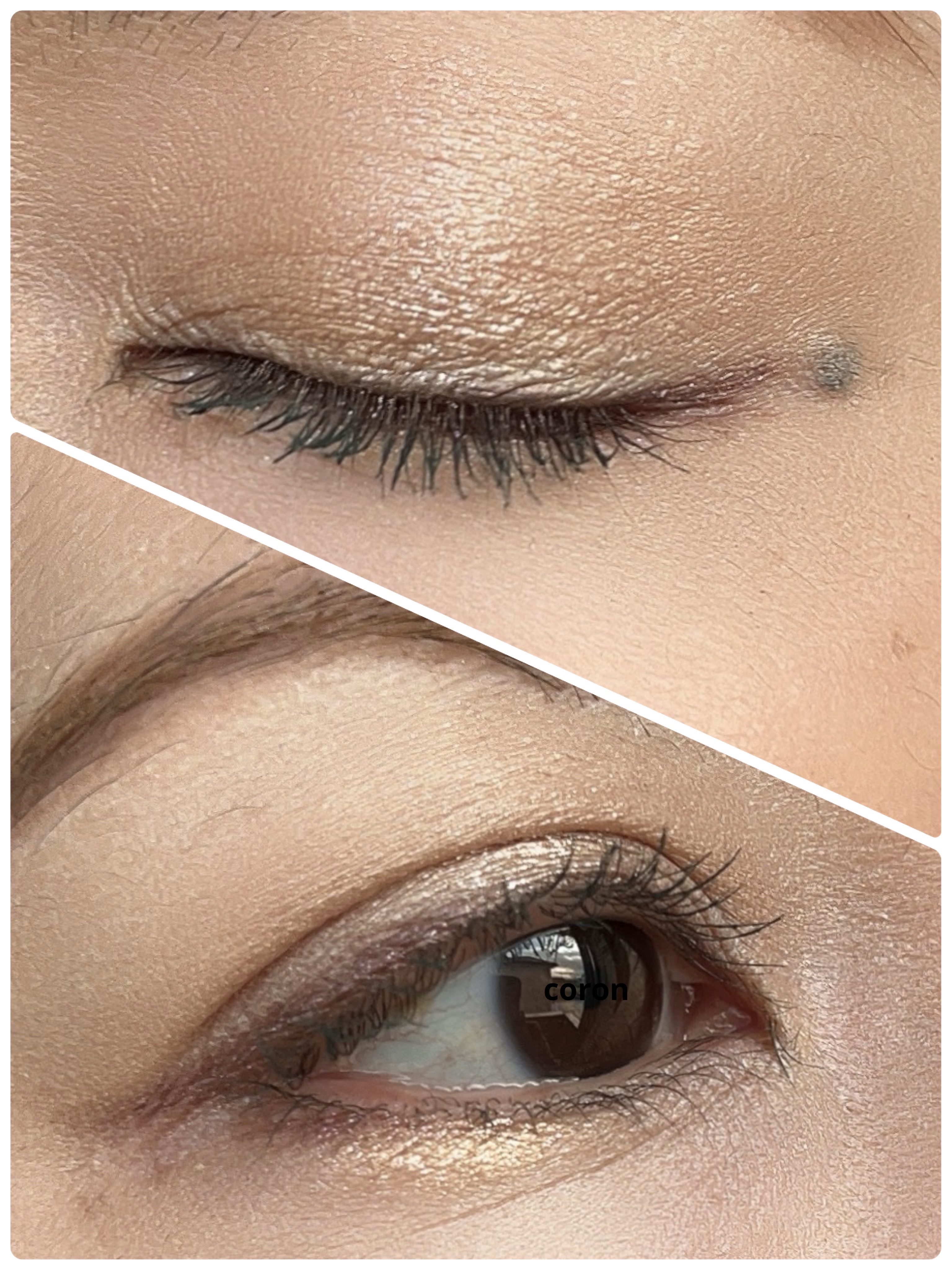 ケイト カールアウェイキングマスカラ GR-1 エボニーグリーン(限定色)/KATE/マスカラを使ったクチコミ（2枚目）