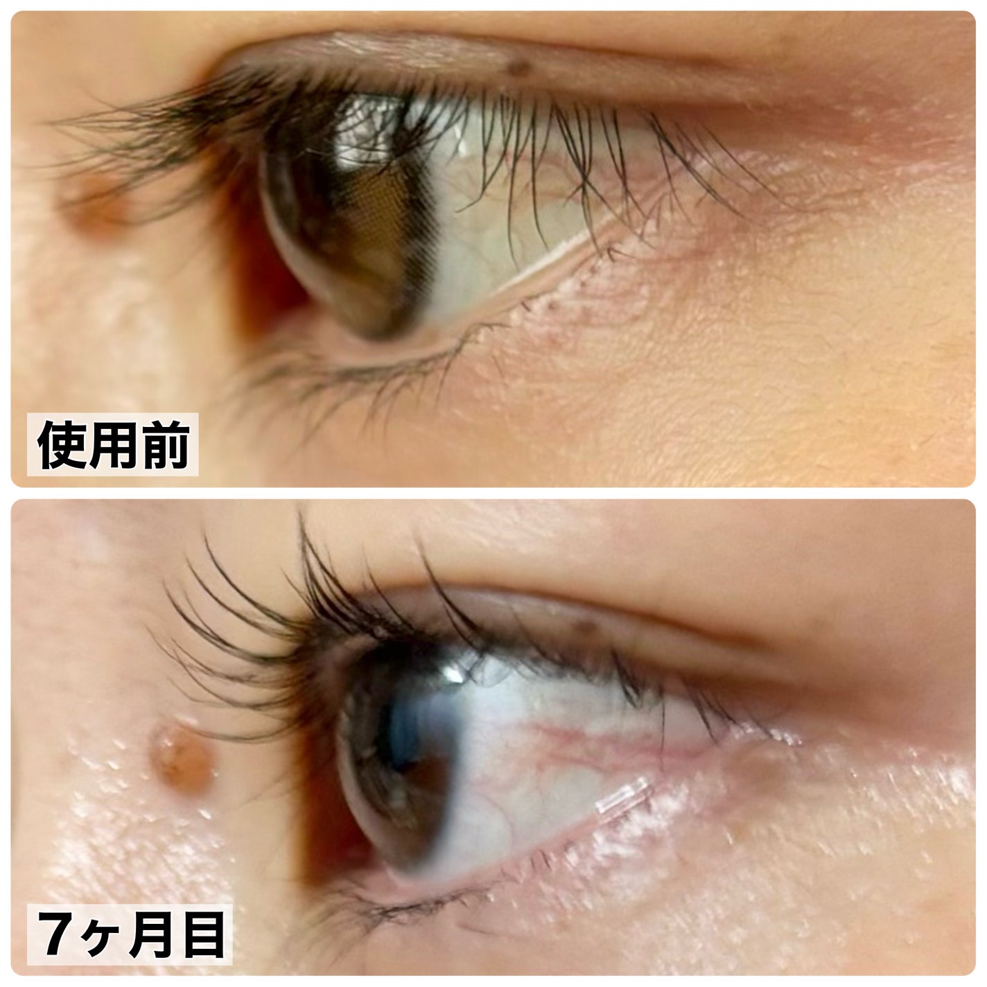 ラッシュルーティーン/キャンメイク/まつげ美容液を使ったクチコミ(2枚目)