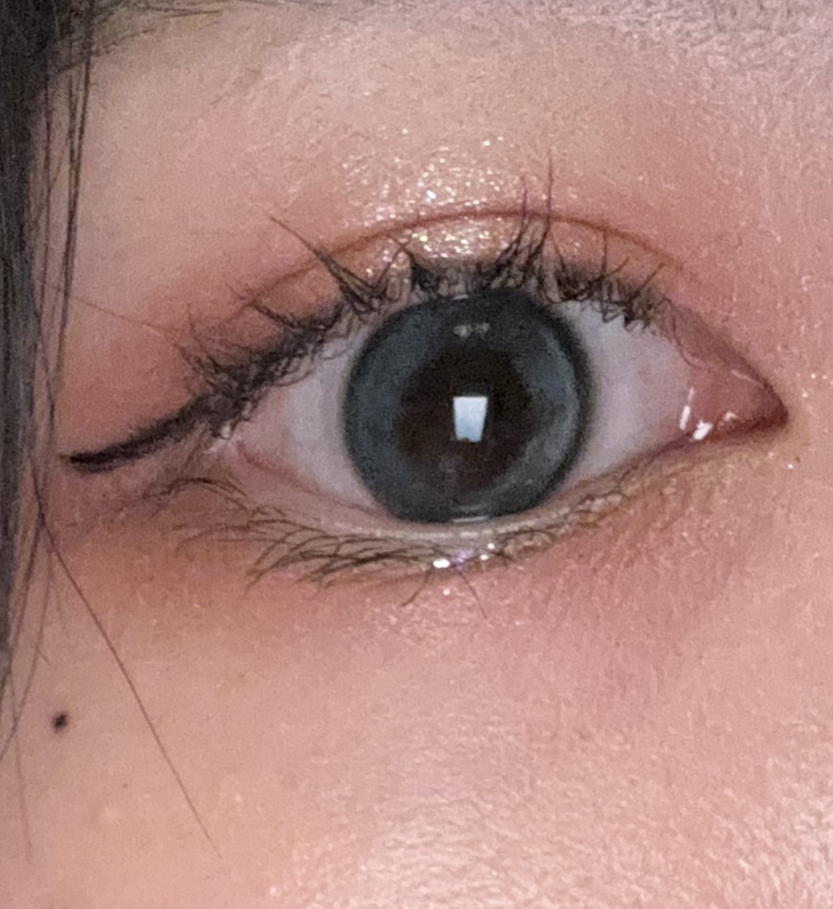 エクスプローラ12色 動物アイシャドウパレット/PERFECT DIARY/アイシャドウパレットを使ったクチコミ（1枚目）