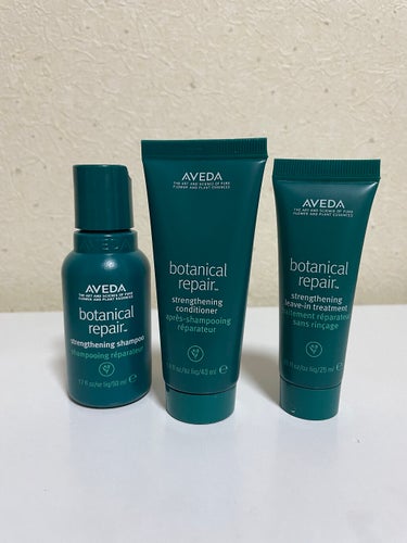 ボタニカル リペア リーブイン トリートメント/AVEDA/アウトバストリートメントを使ったクチコミ（1枚目）