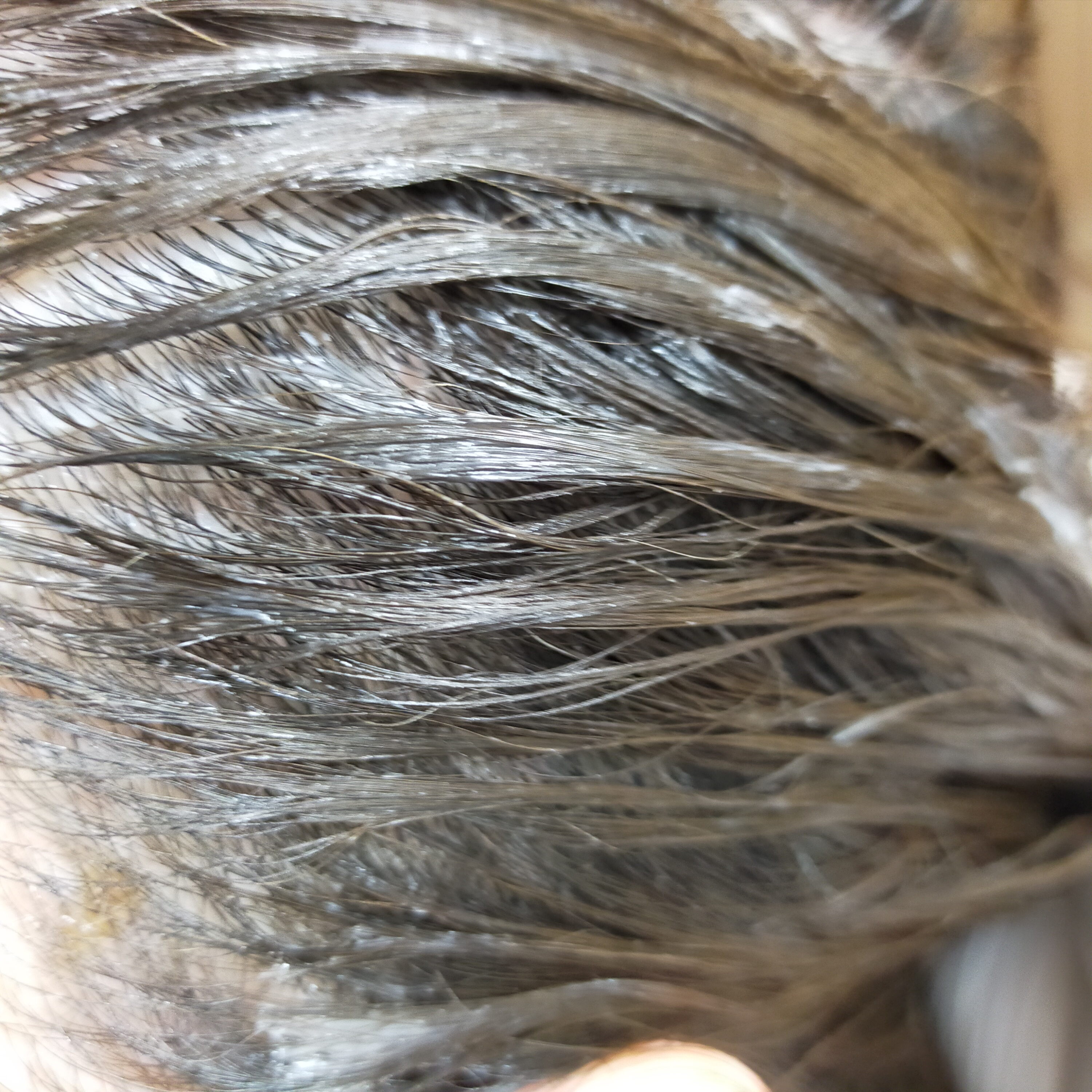 クレイクリームシャンプー（スムース）/cocone/市販シャンプーを使ったクチコミ（3枚目）